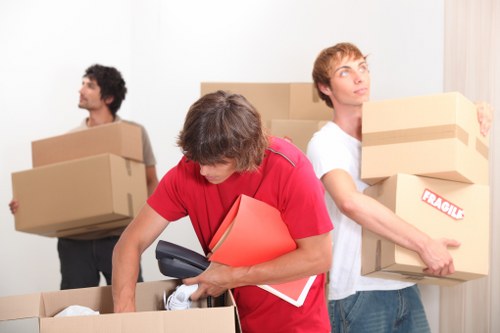 Reliable storage environment for keeping items safe and accessible