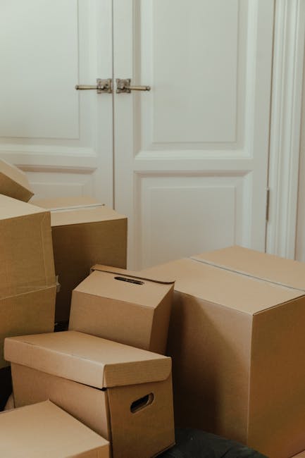 A man and woman stand in a corridor just inside a building near an open doorway, each holding a cardboard box used in home relocation. The man, dressed in a maroon T-shirt and orange trousers, holds a